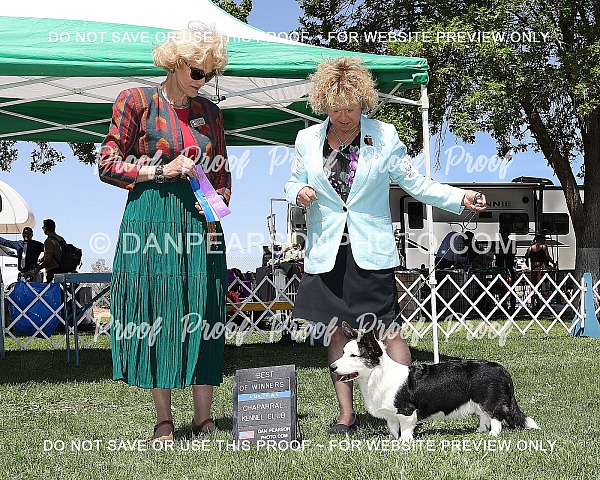 Chapparral Kennel Club 1 Friday April 26, 2024