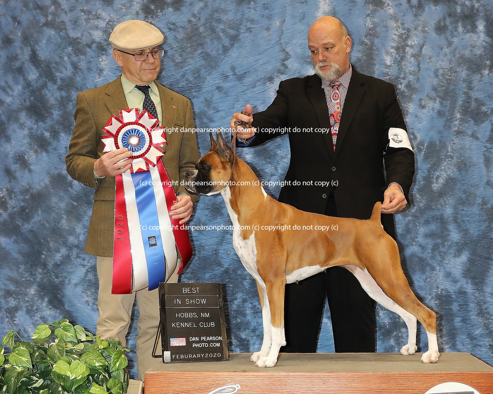 Dan Pearson Photography, Albuquerque, NM, ALL Breed Dog Show Photographer - Dan Pearson Photography