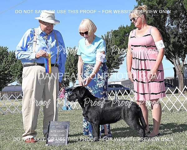 Butte County Kennel Club 1 June 29, 2024