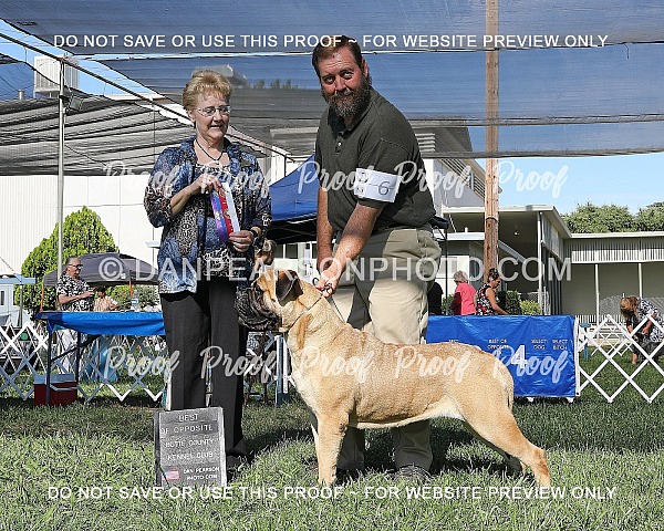 Butte County Kennel Club 2 Sunday June 30, 2024