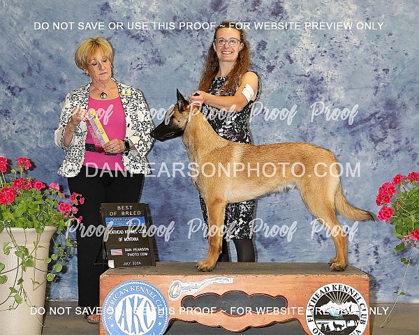 Flathead Kennel Club 2 Monday  July 8, 2024