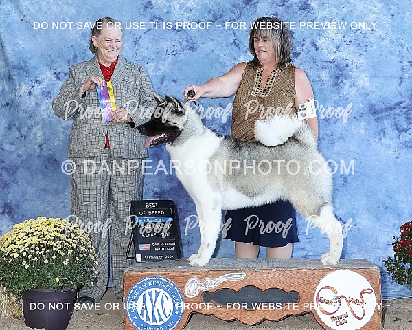 Grand Valley Kennel Club 3 (1st Show) Saturday September 28, 2024