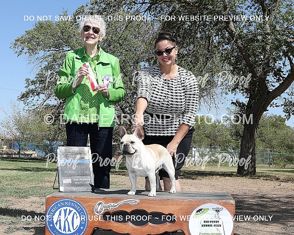 Rio Pecos Kennel Club 1 October 4, 2024