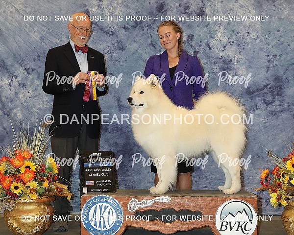 Buckhorn Valley Kennel Club 1 Friday October 11, 2024