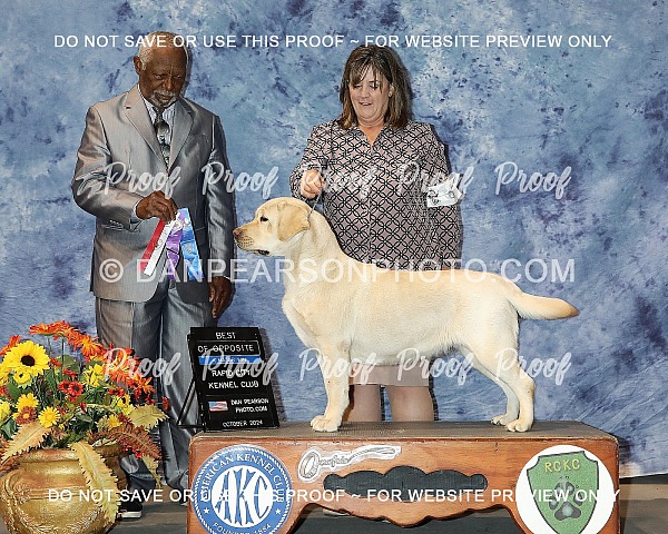 Rapid City Kennel Club 1 Friday October 11, 2024