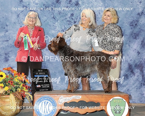 Rapid City Kennel Club 3 Saturday October 19, 2024 (Show Two)