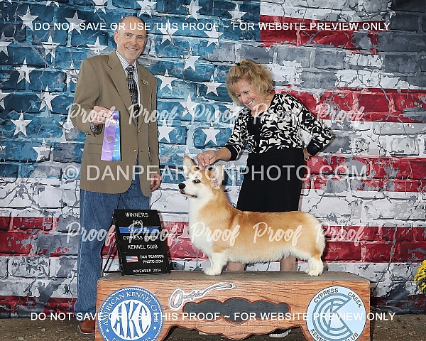 Cypress Creek Kennel Club of Texas Saturday November 9, 2024